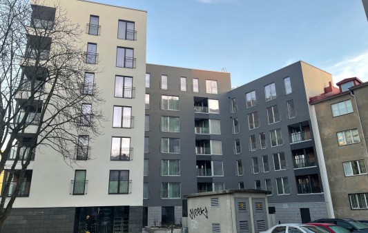 Kentmanni 29 fassaaditööd