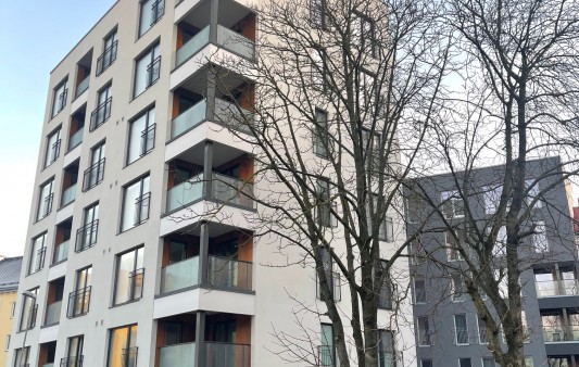 Kentmanni 29 fassaaditööd