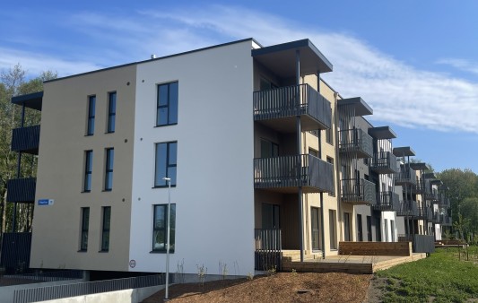 Pikaliiva 34,36 fassaaditööd